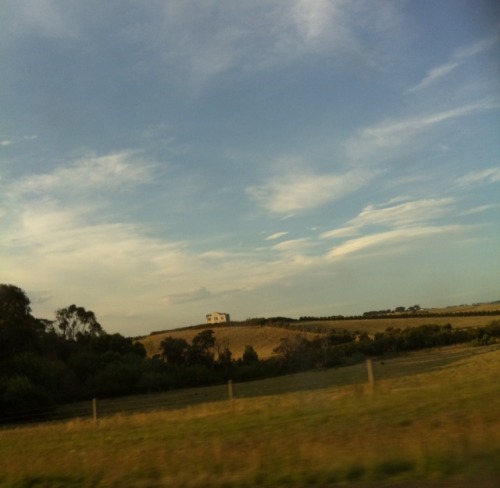 lambnymph: More photos from the road trip