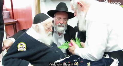 crybabydyke:jew-gi-oh:brainstatic:judeoceltische:micdotcom:Watch: Rabbi declares marijuana kosher fo