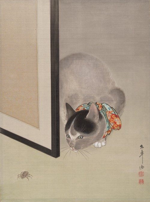 Cat Watching a Spider, Oide Tōkō, circa 1888-92Ink and color on silk album leaf14 ¾ x 11 in. (37.5
