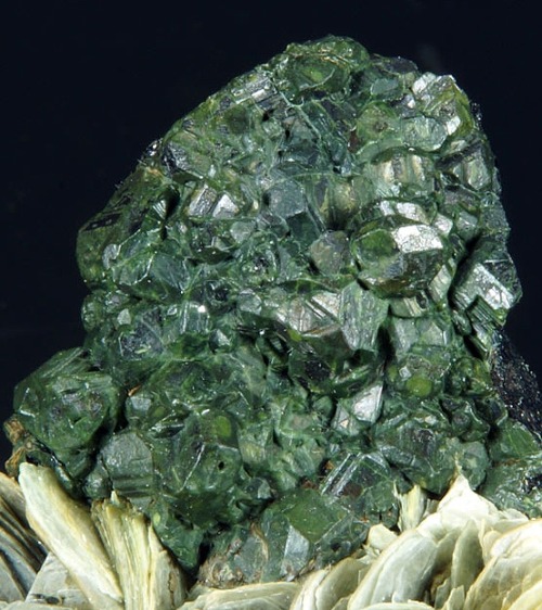 Rare Mushistonite on Kesterite - Mount Xuebaoding, Mianyang Prefecture, Sichuan, China