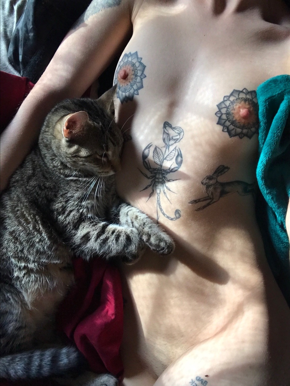 scorpioasshoe:lil slice of heaven