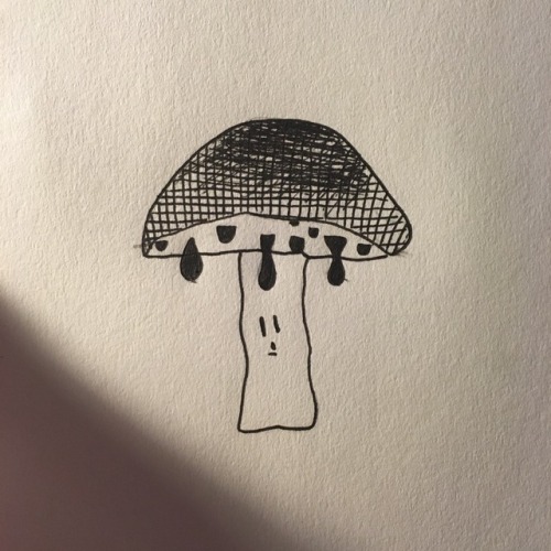 Day 23: a nice juicy fungus.