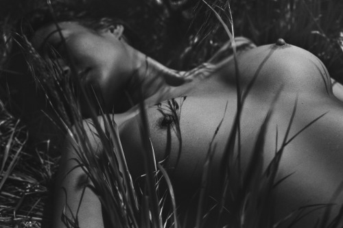 shiver-rayfresh:  Tall Grass© Shiverwww.rayfresh.com