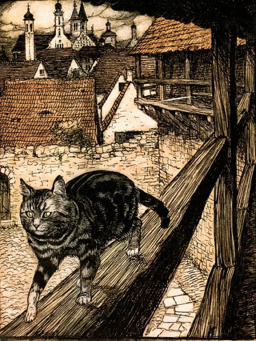 annedebretagneduchesseensabots:Arthur Rackham’s cat walks decidedly only he knows whereIn honor of A