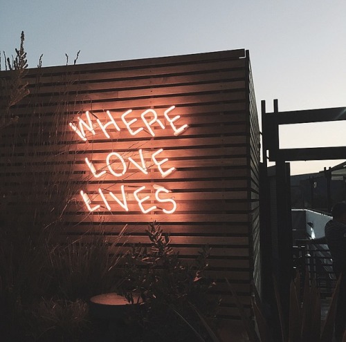 where love lives