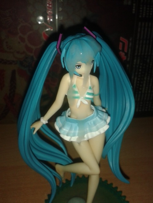 XXX Sweet Swimsuit SOF for Hatsune Miku! I got photo