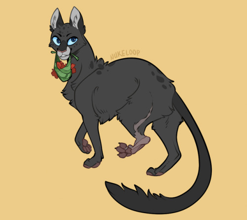 A Cinderpelt for this week’s WOTW on Twitter!