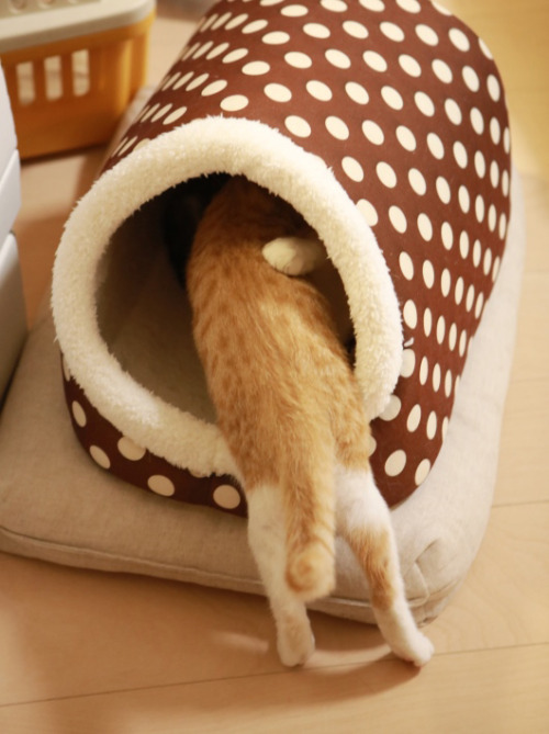 (via ミミオレ。 : 強引ですよ。)