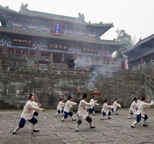 In current-day China, the martial arts are generally classified into two major groups: Wudang&n