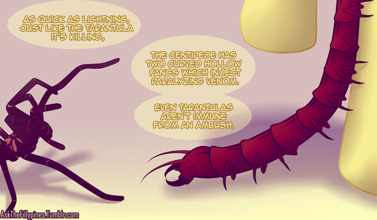 askthefillypines:  Knife Party - Centipede:   Tropical Wildlife is pretty dank.