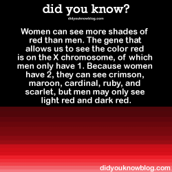 did-you-kno:  did-you-kno:  Women can see more shades of red than men. The gene that allows us to see the color red is on the X chromosome, of which men only have 1. Because women have 2, they can see crimson, maroon, cardinal, ruby, and scarlet, but