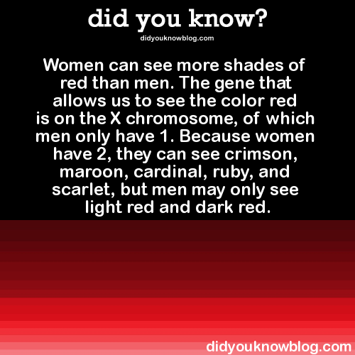 did-you-kno:  Women can see more shades of red than men. The gene that allows us to see the color red is on the X chromosome, of which men only have 1. Because women have 2, they can see crimson, maroon, cardinal, ruby, and scarlet, but men may only see