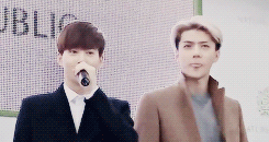 crossgrid:  10 things I haTE about Oh Sehun | A story of the downfall of my sanity.No.1