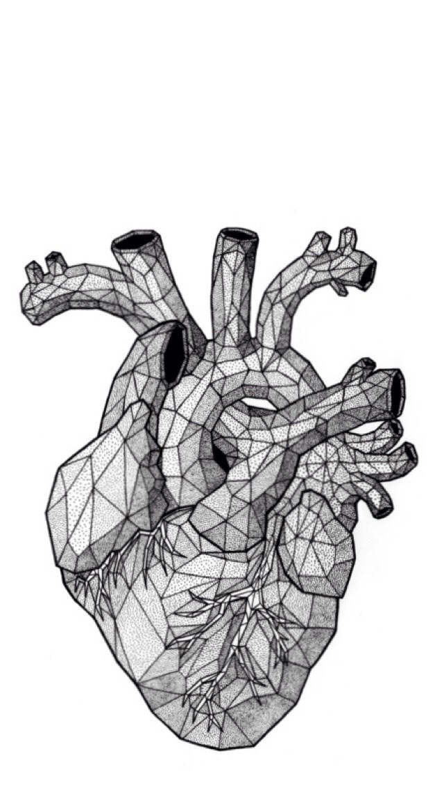 Featured image of post Wallpaper Anatomia Tumblr - Pagina creada con el propósito de compartir recursos y herramientas para el anatomía.