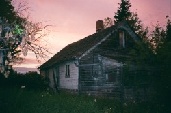 goldenprairies:  insinger, saskatchewan 