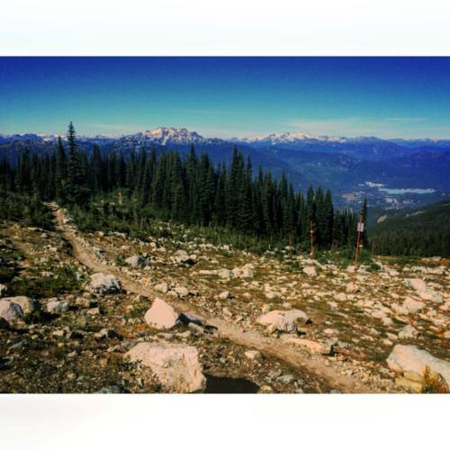 The treeline. #whistler #topoftheworld #explorebc