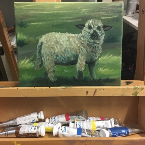 “Lamb”  8x10 Oil on Canvas