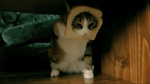 laughteroftheday:I don’t want this.