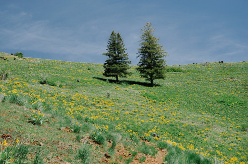 expressions-of-nature:Hells Canyon, Oregon by Cheryl