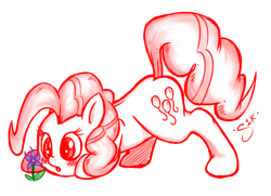 silverkunai:  TADA!A quick sketch of Pinkie