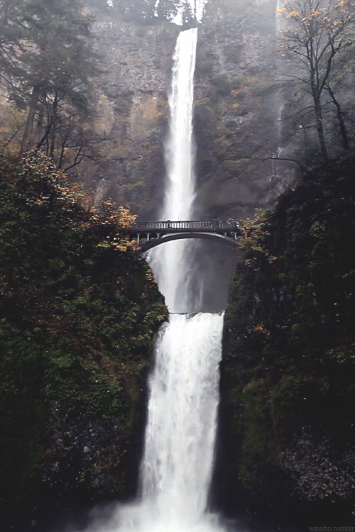 XXX wasifio:  Multnomah Falls in Oregon   photo