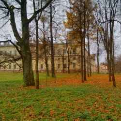 #landscape #park #palace #October #2013 #gatchina #Russia #Гатчина #Россия