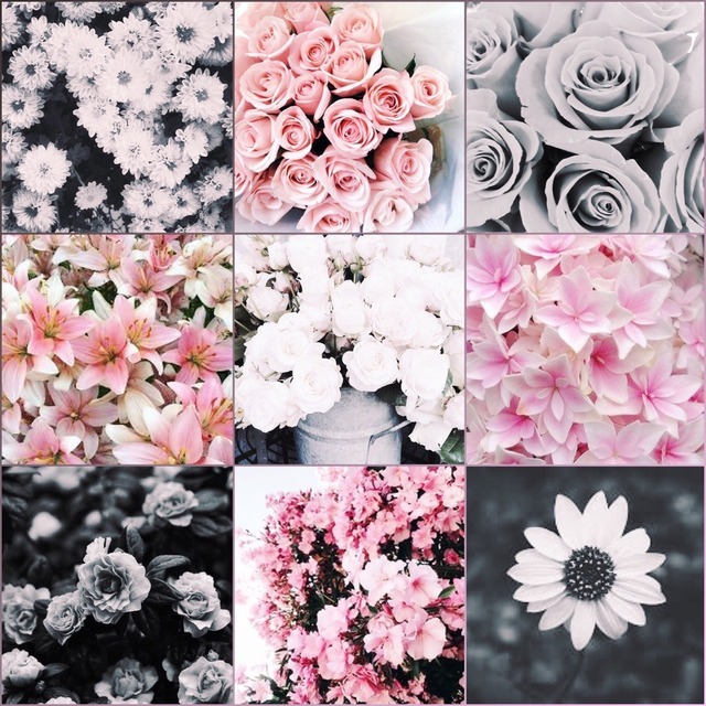Lgbt Aesthetics And Moodboards Demigirl Moodboard With Flowers For Anon - genderswap challenge roblox amino gardening flower and