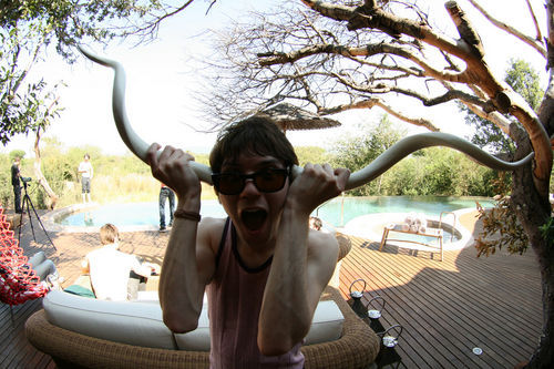 panic-at-the-blog:  Panic! At The Disco, South Africa 2009 