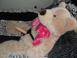 A real bimbo&rsquo;s teddy bear lol   See more sluts being treated the way they love at Punish The Whore 