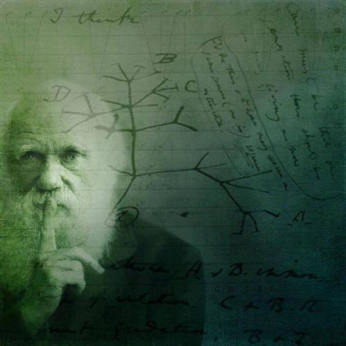 It’s Darwin Day!Yes, today, the 12th of February is a day of celebration for Charles Robert Darwin.D