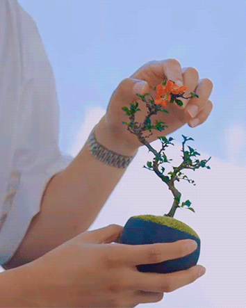 Namjoon With His Beautiful Plum Bonsai (In The SOOP BTS Ver. EP.7)