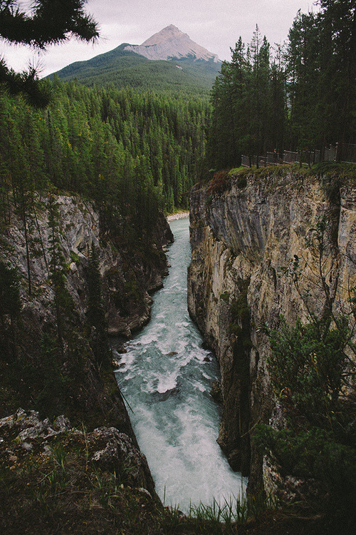 rotten-envy:  Not all those who wander are lost ☯