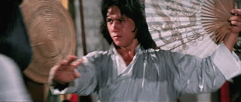 Crouching Tumblr Hidden Dragon The Young Master 1980