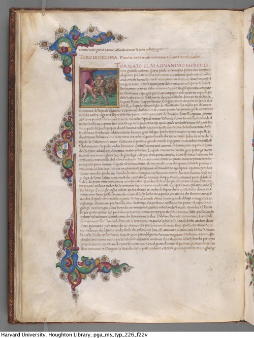 Bassi, Pietro Andrea di. Le fatiche de Hercule : manuscript, [ca. 1471]MS Typ 226Houghton Library, H