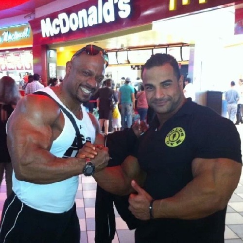 drwannabe:  Sami Al Haddad and Ahmed Wardany