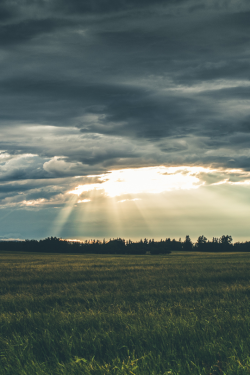 axility:  Rays | © Aidan Campbell | AXILITY 