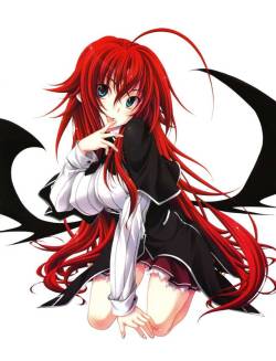 Miyama-Zero Artworks High School DxD