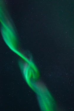 abiesque: Aurora Borealis (Tromsø) Marcelo Quinan