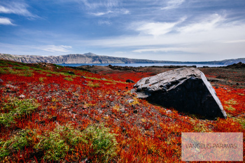 par2n2: Do volcanoes bloom? A remarkable view welcomes spring visitors in the Aegean Archipelago. Th