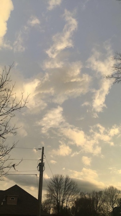 qqwee-the-bird: it was so nice out yesterday (ft. my cat &amp; dollar general)