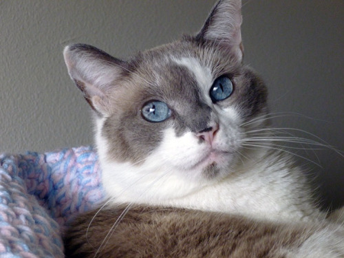 Sushi ♥ (submitted by glossyglosoli)