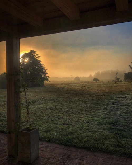 hello weekend . . . #sunrise #pueblogarzon #garzon #uruguay #campo #campoair #backyard #amanecer #my