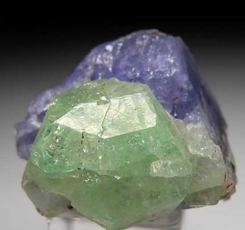 mineralists:  Tsavorite on Tanzanite