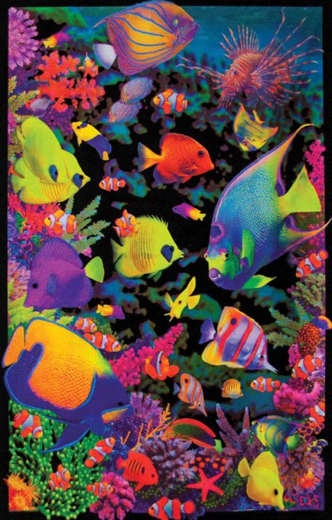 Opticz Living Reef - Black Light Poster