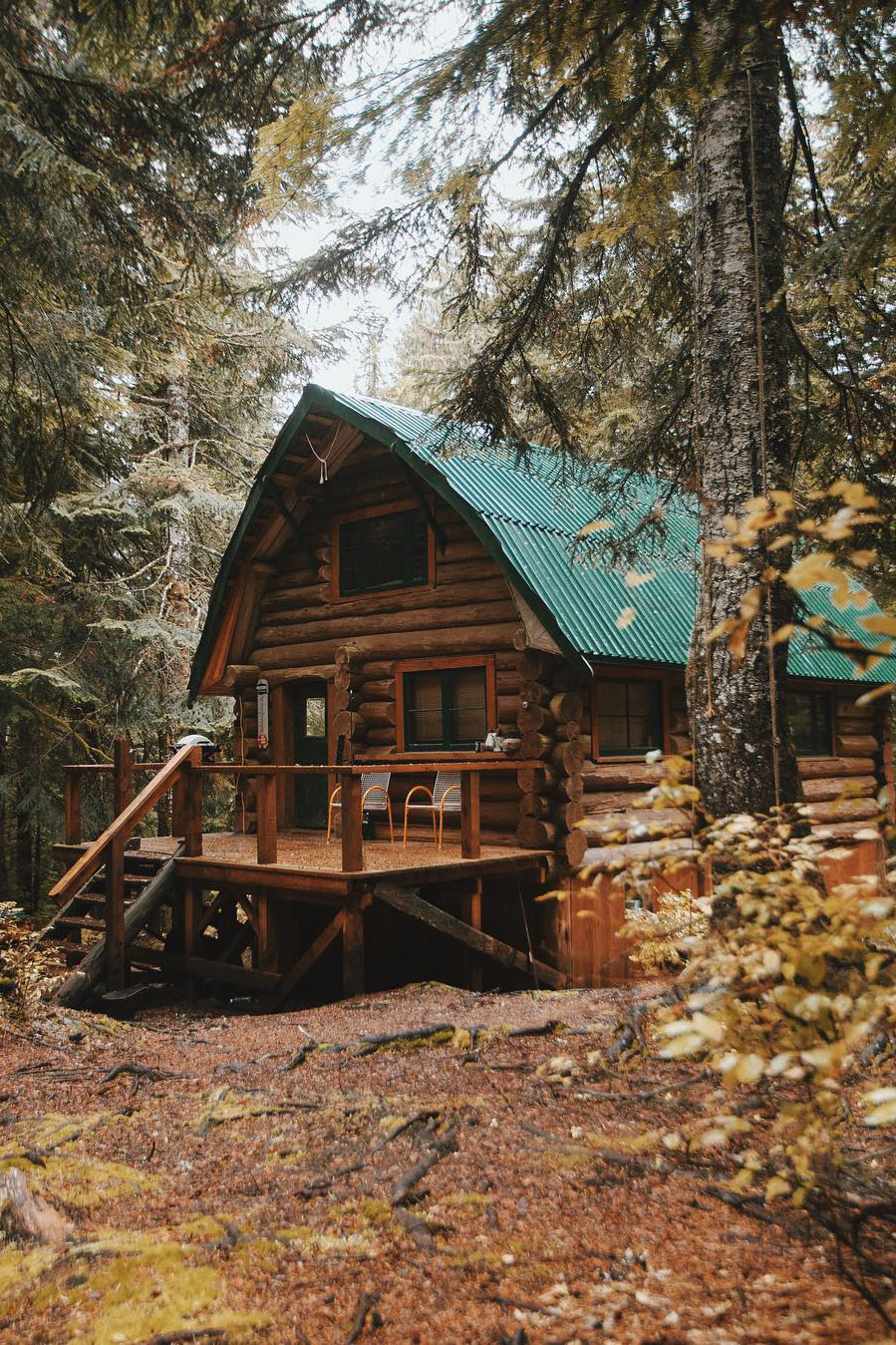 banshy: Vancouver, British Columbia by Rodrigo Trevino