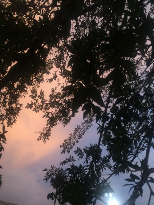 larkxspur:  bc i got a new phone and my photo album was lacking pictures of the sky