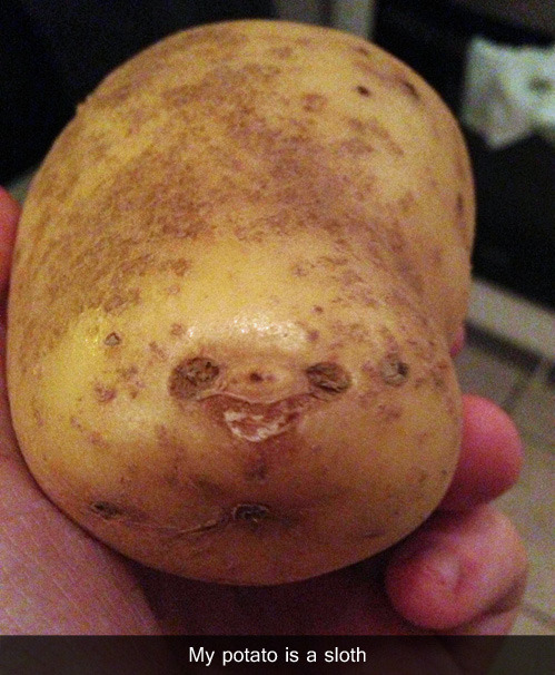 lulz-time:  My lovely followers, please follow this blog immediately!