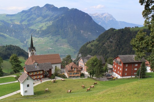 Kloster Maria-Rickenbach.> Photo: Roland Baumgartner.