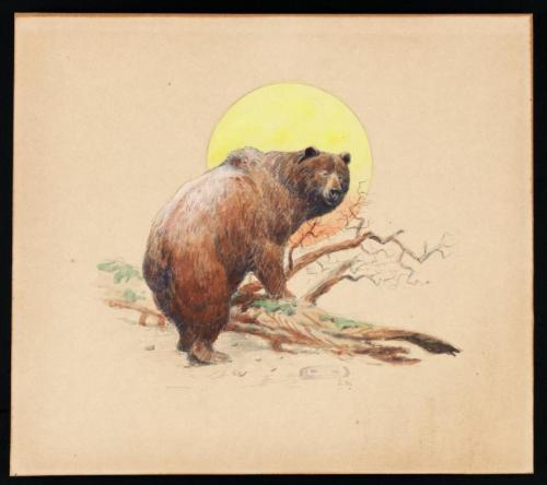 antiqueanimals: Silvertip Bear, Olaf C. Seltzer (1877 - 1957) 