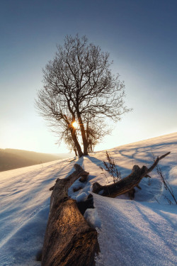 ponderation:  Magic Winter Sun by Sebastian Herold  